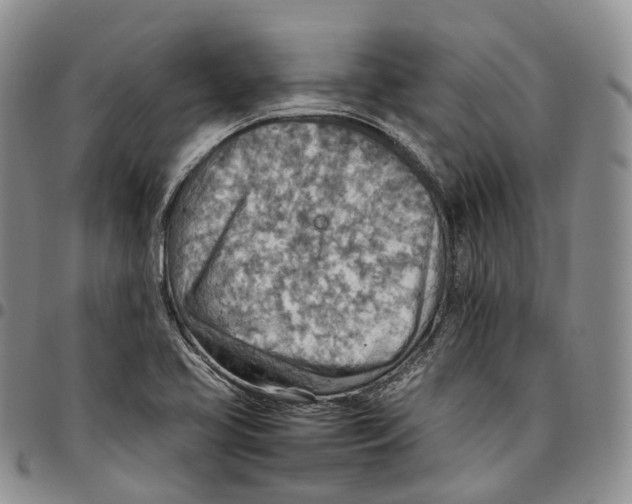 X0000096701413200803041312