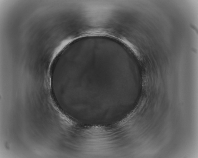 X0000096701414200803041312