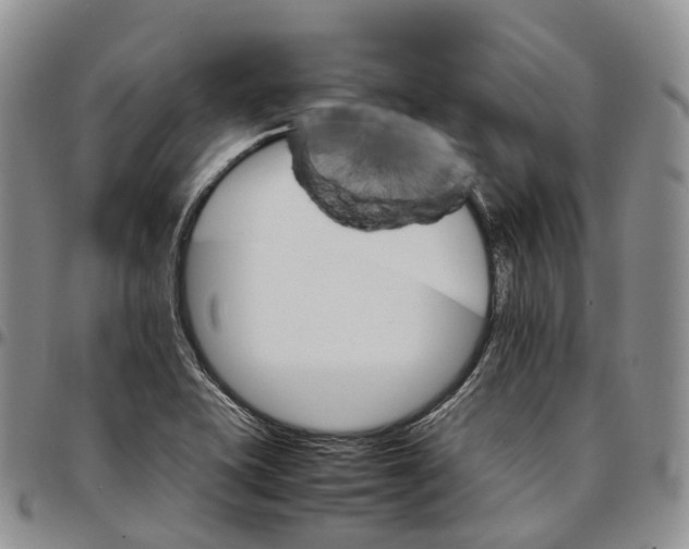 X0000096701415200803041312