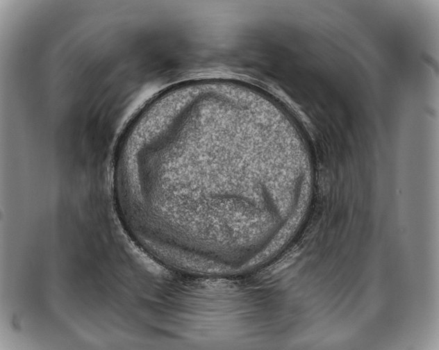 X0000096701416200803041312