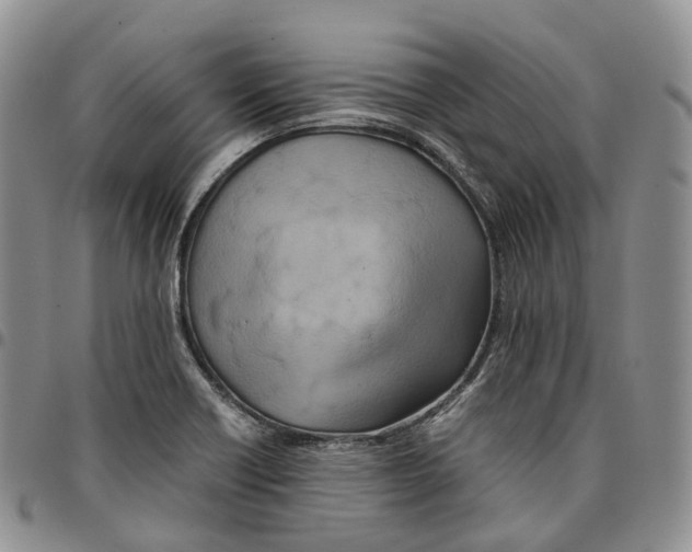 X0000096701418200803041312
