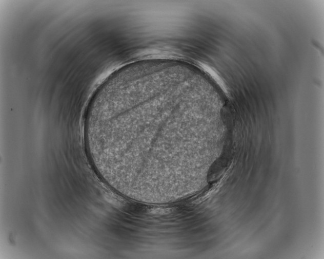 X0000096701419200803041312