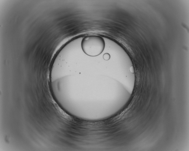 X0000096701420200803041312
