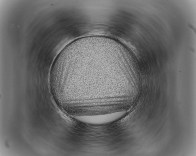X0000096701423200803041312