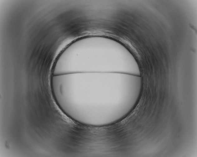 X0000096701424200803041312