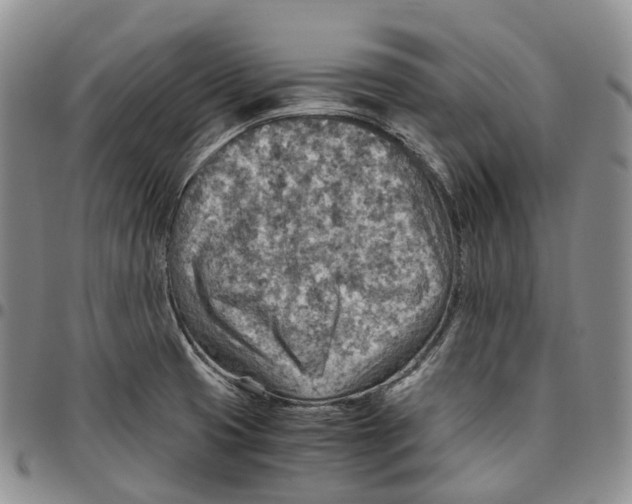 X0000096701425200803041312