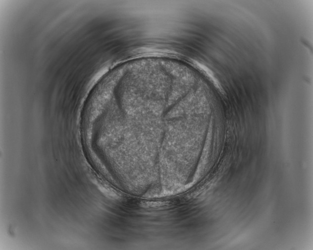 X0000096701427200803041312