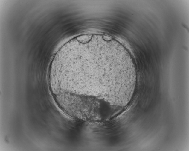 X0000096701429200803041312