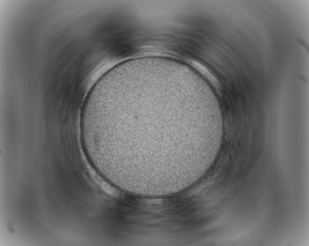 X0000096701431200803041312
