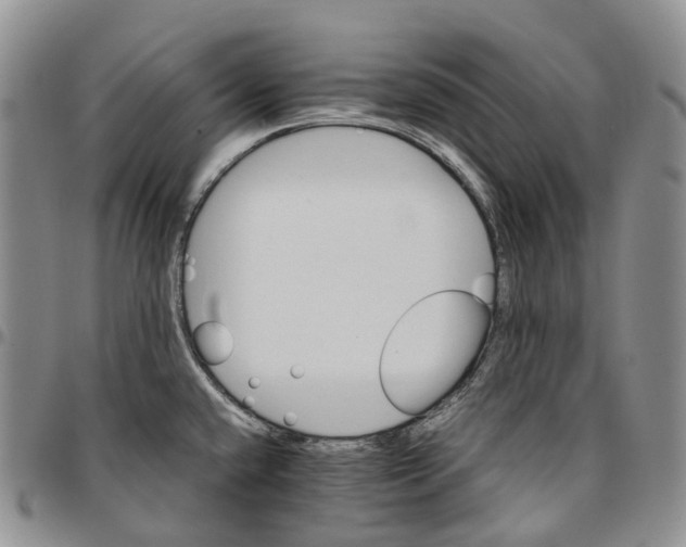 X0000096701432200803041312