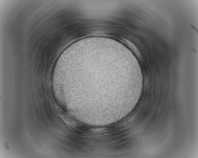 X0000096701435200803041312
