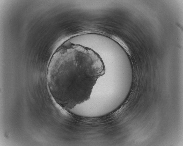 X0000096701439200803041312