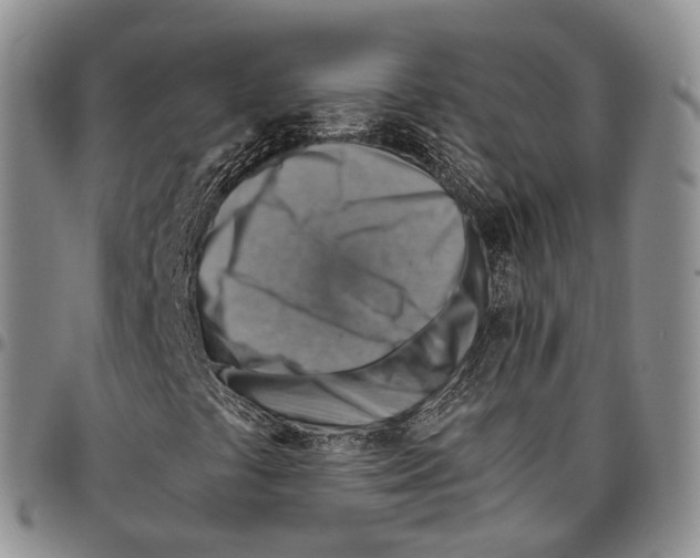 X0000096701441200803041312