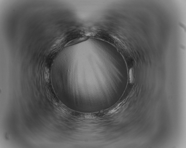 X0000096701443200803041312
