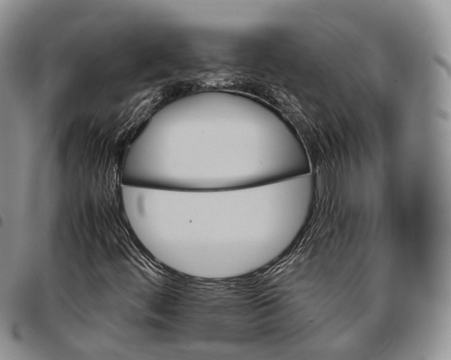 X0000096701444200803041312
