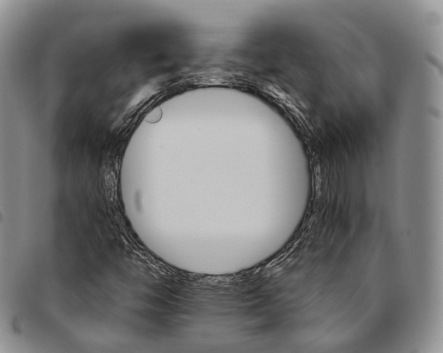 X0000096701446200803041312