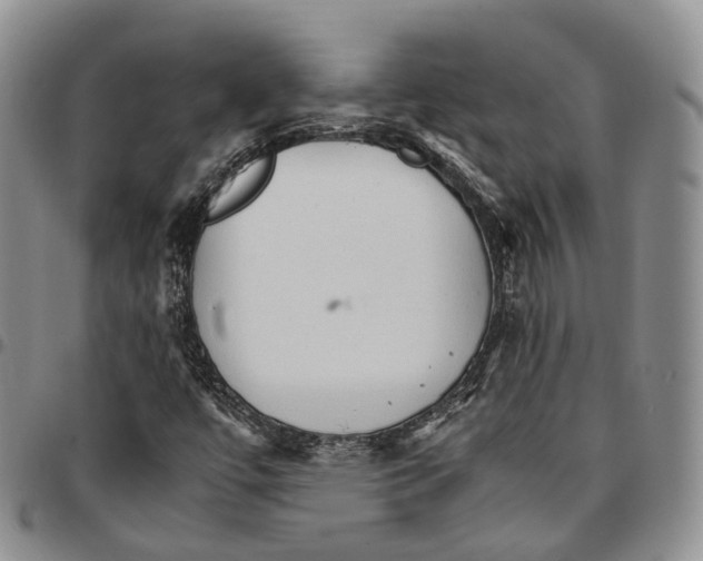 X0000096701447200803041312