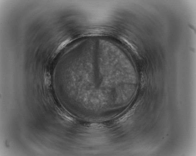 X0000096701449200803041312