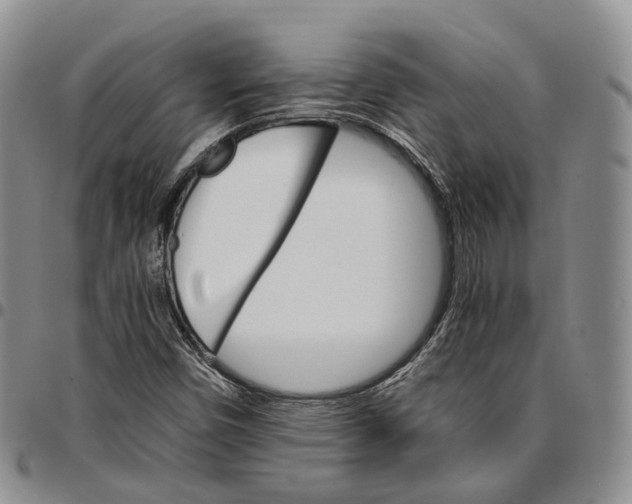 X0000096701450200803041312