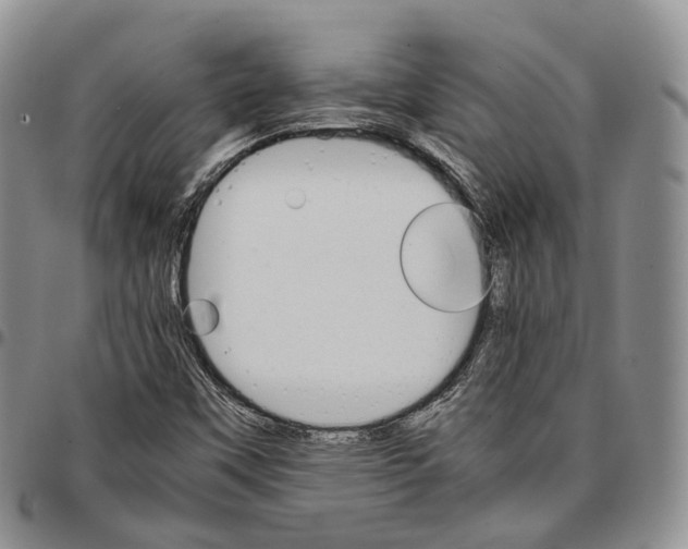 X0000096701451200803041311
