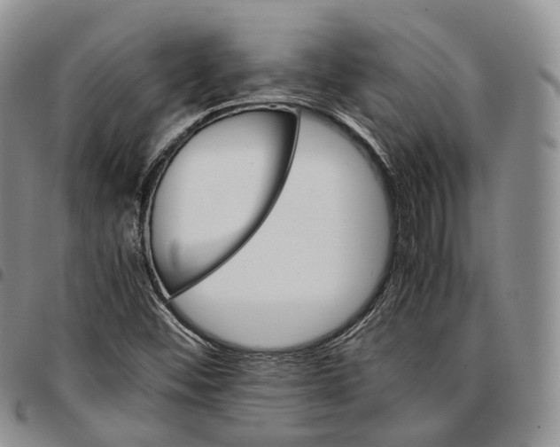 X0000096701452200803041311
