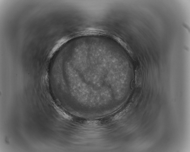 X0000096701453200803041311