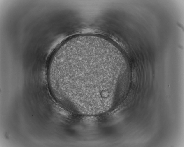 X0000096701454200803041311