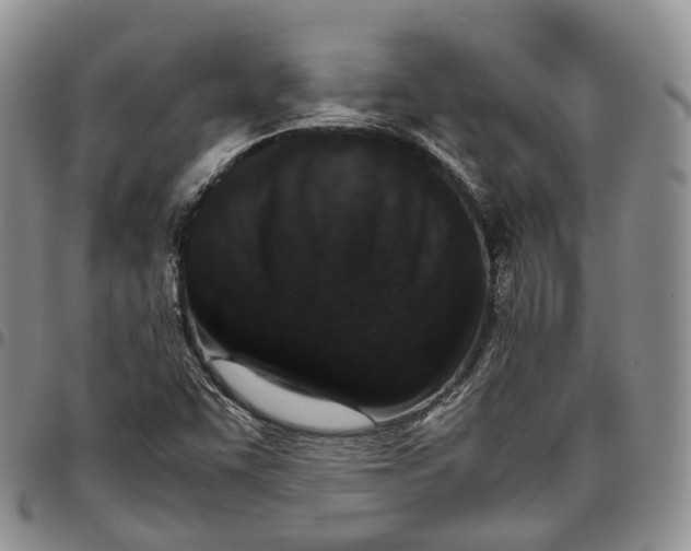 X0000096701455200803041311