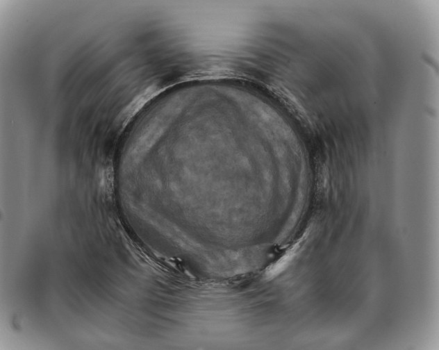 X0000096701457200803041311