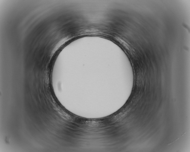 X0000096701458200803041311