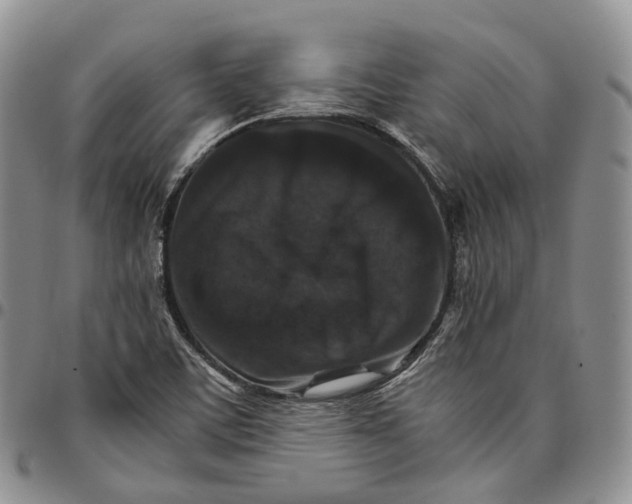 X0000096701459200803041311