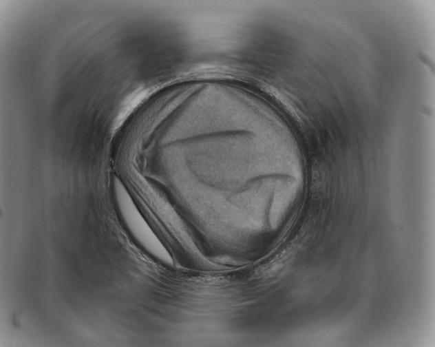 X0000096701461200803041311
