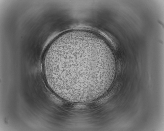 X0000096701462200803041311
