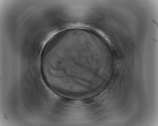 X0000096701463200803041311