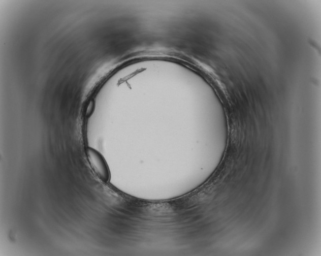 X0000096701464200803041311