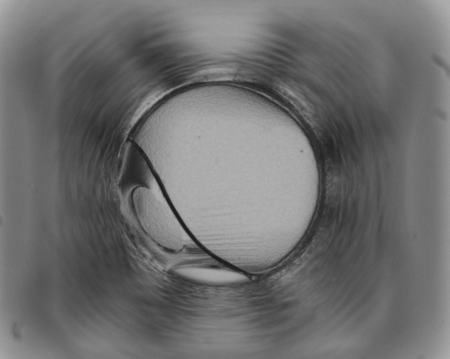 X0000096701465200803041311