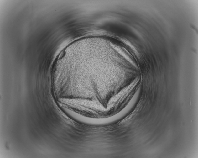 X0000096701467200803041311