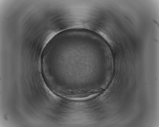 X0000096701468200803041311