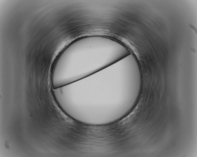 X0000096701469200803041311