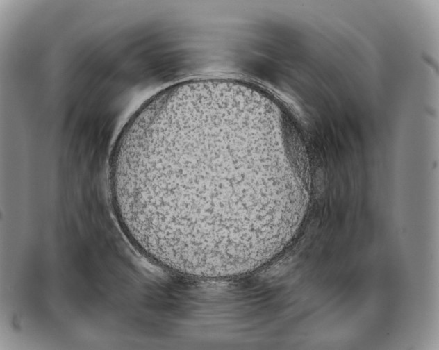 X0000096701470200803041311