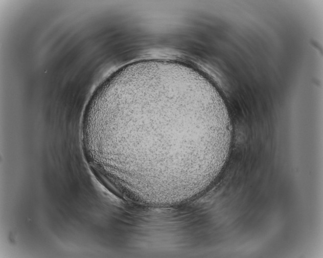 X0000096701471200803041311