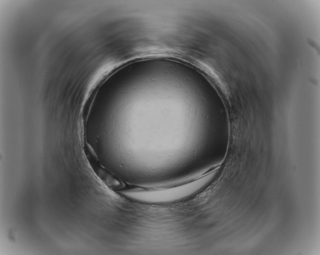 X0000096701472200803041311