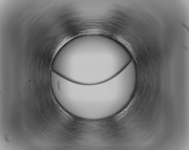 X0000096701473200803041311