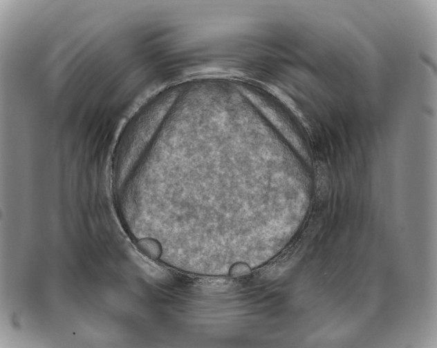 X0000096701474200803041311
