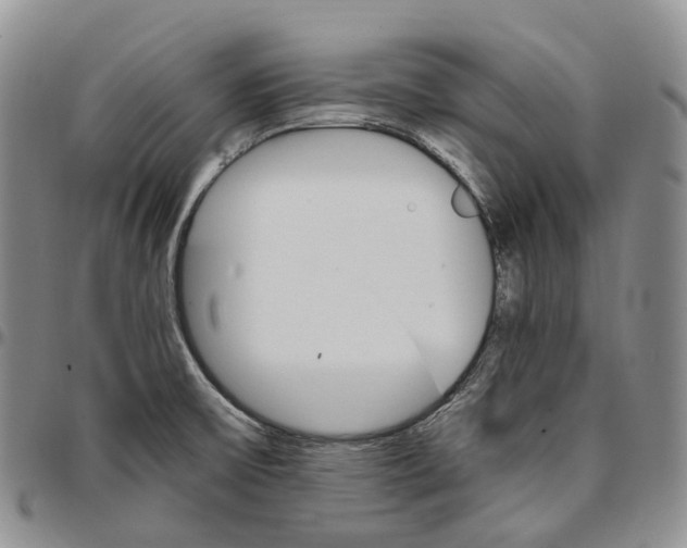 X0000096701475200803041311