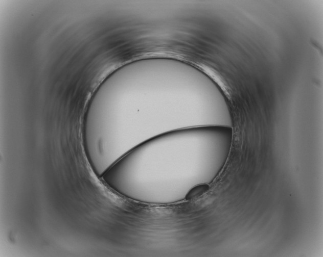 X0000096701476200803041311