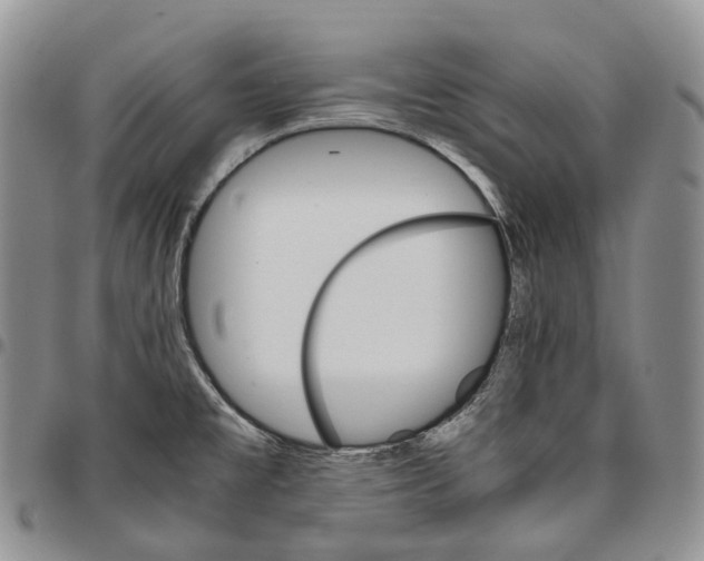 X0000096701477200803041311