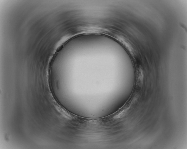 X0000096701480200803041311