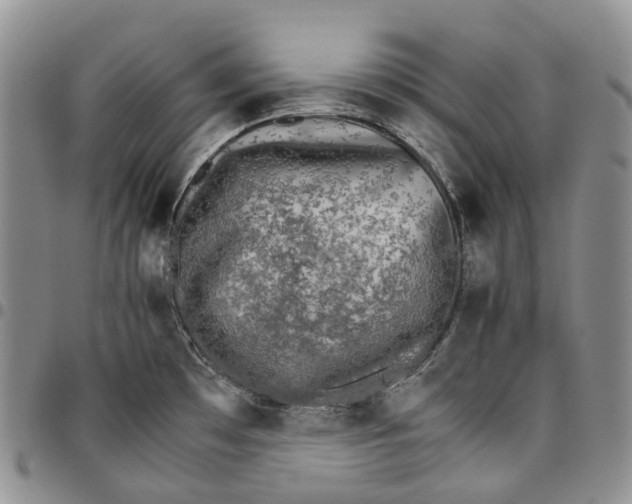 X0000096701481200803041311