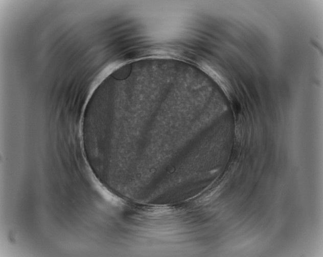 X0000096701482200803041311